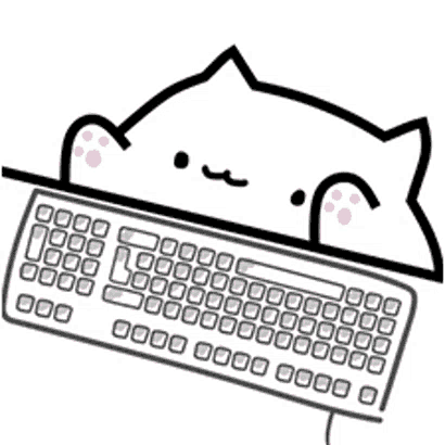 typing cat